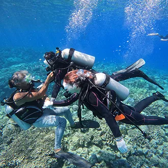 綺麗な沖縄の海で体験ダイビング