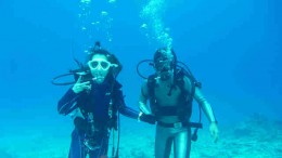 水納島ケーブル 水納島ケーブル