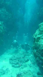 瀬底島キャメル 瀬底島キャメル