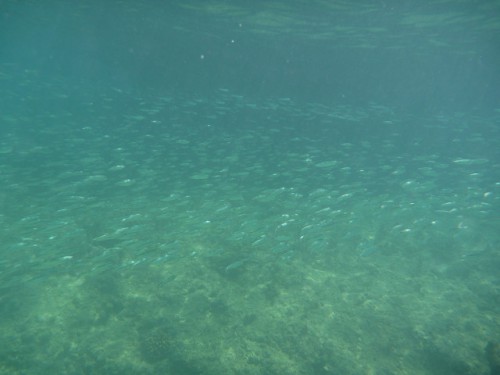 resize1227