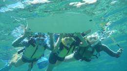 resize1264