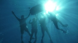 resize1292