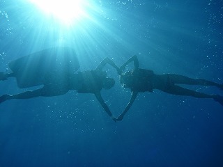 p10000851