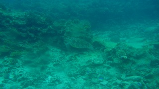 p1060579