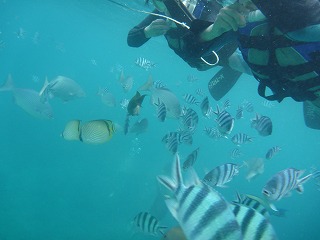 p1080502
