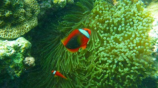 p1090097