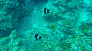 p1090112