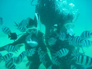 P1220015