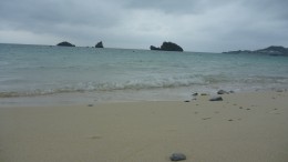 P1000495