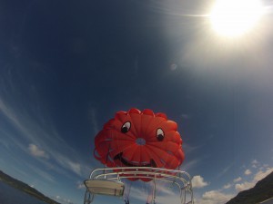 DCIM100GOPRO