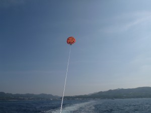 P1250659