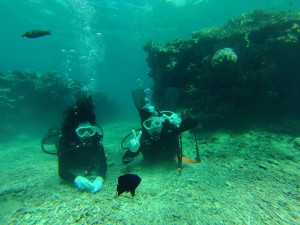 GOPR0168