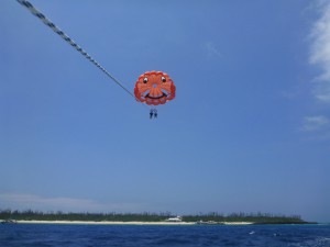 P1330406
