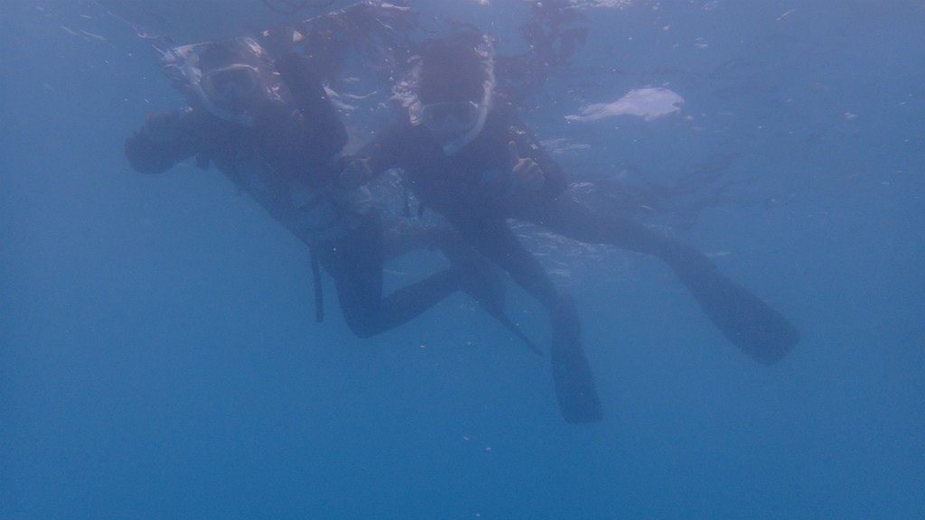 P5130011
