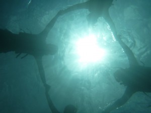 P1080015