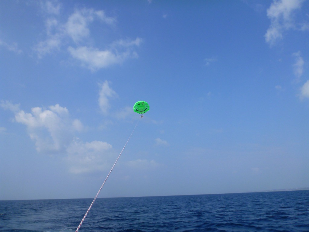 P1540241