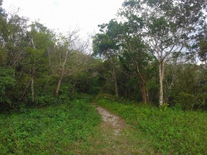 GOPR4967