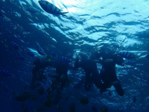 P2230100