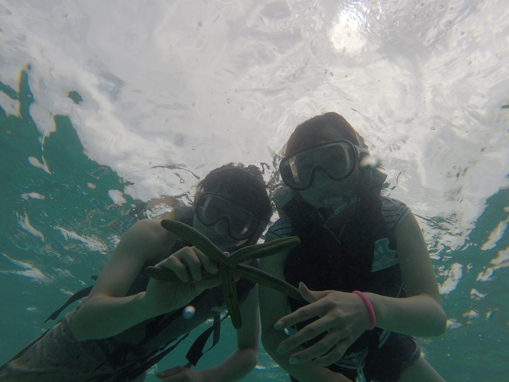 DCIM100GOPRO