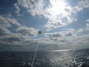 X-TRIP Smile Parasail