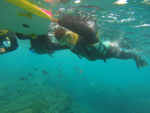 gopr2413
